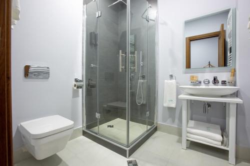 第比利斯Alma Boutique Hotel的带淋浴、卫生间和盥洗盆的浴室