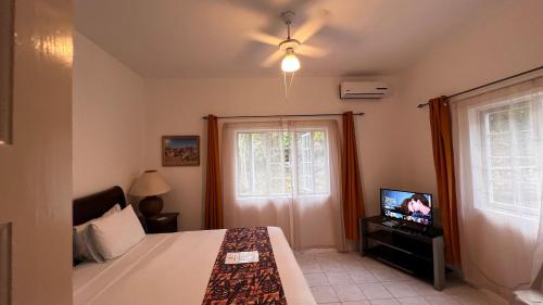 安东尼奥港All Nations Guest House的一间卧室设有一张床、一台电视和一个窗口。