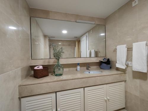 圣罗克Estudio Puerto de Sotogrande的一间带水槽和大镜子的浴室