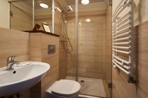 华沙赫纳拉美国豪斯酒店的一间带水槽、卫生间和淋浴的浴室