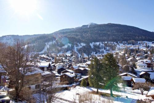 韦尔科兰Joli appartement ensoleillé à Vercorin的被雪覆盖的村庄,背景是山