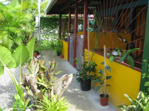 别霍港Caribbean Comfort的种有许多植物和黄色墙壁的花园