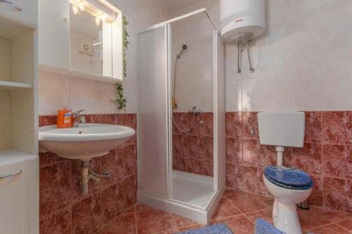 诺维格勒伊斯特拉比杰里克公寓的带淋浴、卫生间和盥洗盆的浴室