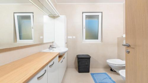 卡里高多Apartment Vinko的一间带水槽和卫生间的浴室以及两个窗户。