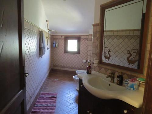 多尔加利Casa in campagna的一间带水槽和镜子的浴室