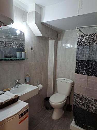 卡罗维西C & D Karlovasi apartment的一间带卫生间和水槽的浴室