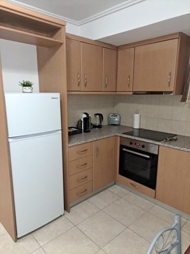 卡罗维西C & D Karlovasi apartment的厨房配有白色冰箱和木制橱柜。