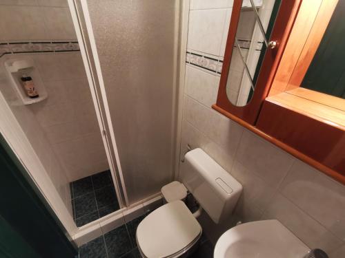 克拉尼斯卡戈拉Cosy Lake的一间带卫生间和镜子的小浴室