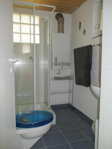 卡莫日诺拉托蕾度假屋的一间带卫生间和玻璃淋浴间的浴室