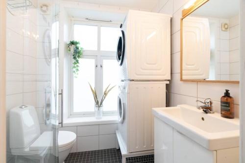 特隆赫姆Home away from home in Trondheim的一间带水槽和卫生间的浴室以及窗户。