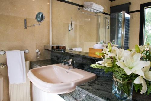 圣布里希达圣布里吉达学校酒店的一间带水槽和花瓶的浴室
