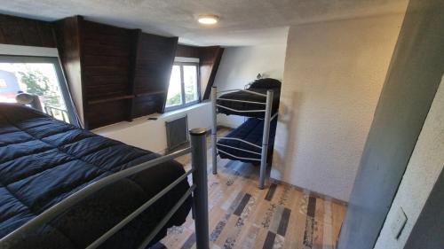 圣卡洛斯-德巴里洛切Temiscira Hostel的小房间设有一张床和一张双层床