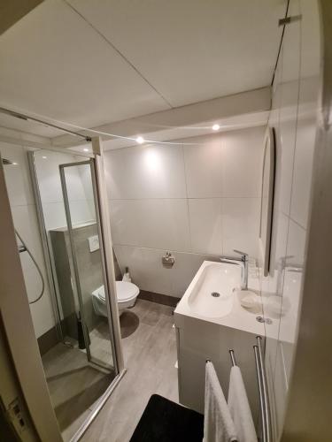 厄伊特海斯特Klein Middelweg的带淋浴、盥洗盆和卫生间的浴室