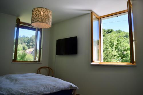 La Tour-du-MeixSpacious apartment in old farm close to Lac de Vouglans的一间卧室设有2扇窗户、1张床和电视。