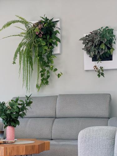 卡斯卡伊斯Luna House的客厅配有沙发,墙上挂有植物