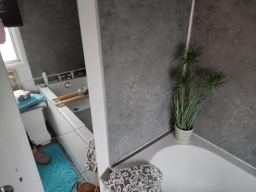 塞顿港"Dew Drop Inn"的一间带浴缸的浴室,里面装有植物