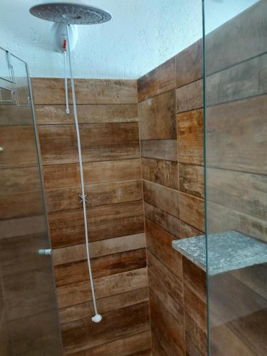 阿蒂巴亚Sitio Anju的配有木镶板和玻璃门的淋浴
