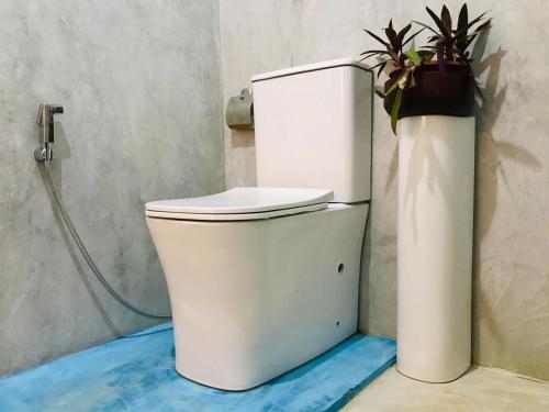 贝鲁沃勒Sriyan Villa的浴室里的一个厕所,有盆栽植物