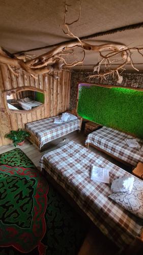 卡拉科尔Кереге-Таш的一间设有两张床和绿色墙壁的客房