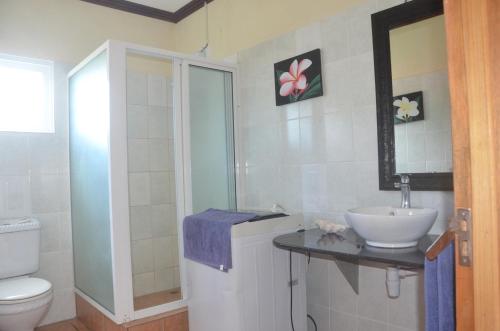 普拉兰大安塞区巴特弗莱别墅酒店的一间带水槽和卫生间的浴室