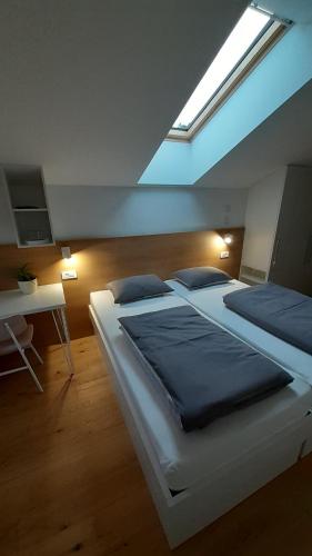 维帕瓦Fine Rooms Vipava的一间卧室设有两张大床和天窗