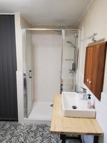 弗雷斯塔帕若德霍斯特chalupa PA的浴室配有白色水槽和淋浴。