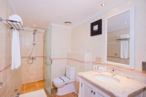 艾因苏赫纳Coral Sea Beach and Aqua Park的浴室配有卫生间、盥洗盆和淋浴。