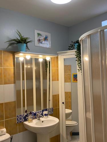 图卢兹Studio Carmes,entrée autonome,climatisé,parking privé payant的一间带水槽、卫生间和镜子的浴室