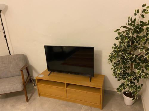 阿洛拉Casa Alora的木架上的平面电视,旁边是植物