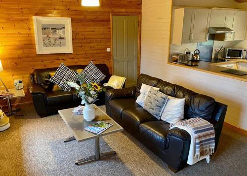 StrattonIvyleaf Combe Lodges的客厅配有两张真皮沙发和一张茶几