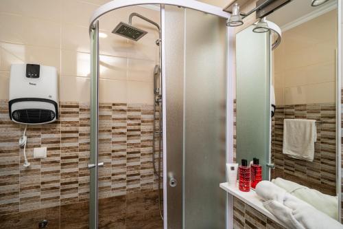 察夫塔特Apartmani Niki ZVEKOVICA的浴室里设有玻璃门淋浴
