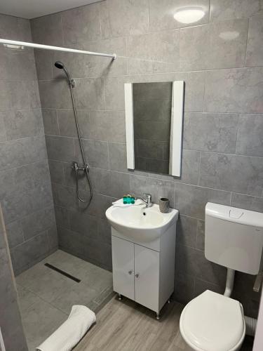 科尔布Vila Palade的浴室配有卫生间、盥洗盆和淋浴。