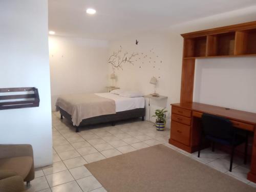 圣何塞Casa Escalante Hostel的一间卧室配有一张床和一张书桌