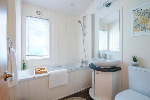 博斯Bay View Lodge, Brynowen的一间带水槽、卫生间和镜子的浴室