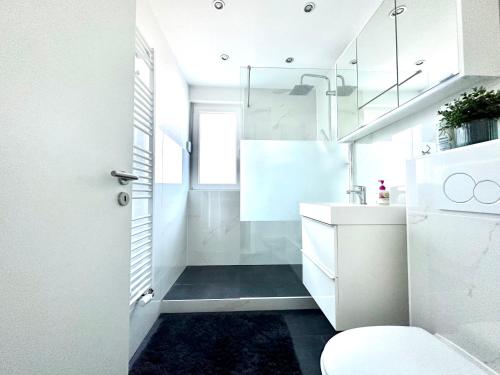 波恩Stilvolles Apartment in Bonn的白色的浴室设有水槽和卫生间。