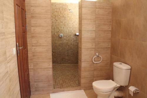 奔巴岛Wharf Side Inn的一间带卫生间和淋浴的浴室