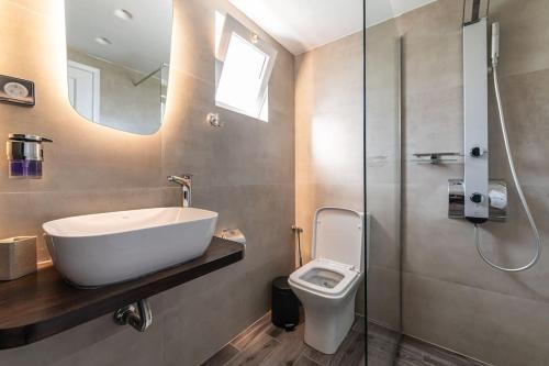 海若克利欧Elegant Fully Equipped Apartment near City Centre的一间带水槽和卫生间的浴室