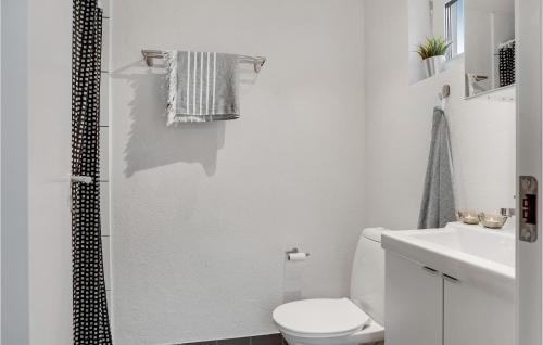 AsåCozy Home In Asaa With Kitchen的白色的浴室设有卫生间和淋浴。