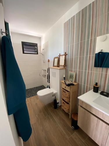 拉特里尼泰Le CAILLOU的浴室配有白色卫生间和盥洗盆。