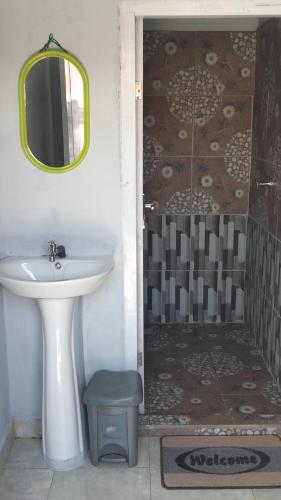 BajawaMarselino Bacpacker's Room的浴室配有盥洗盆和带镜子的淋浴