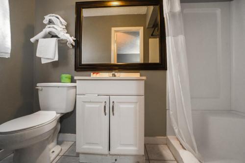 EdnaTexana Inn Edna By OYO的一间带卫生间、水槽和镜子的浴室