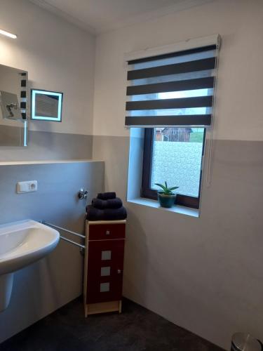 VilseckCafe und Pension Ringer的一间带水槽和窗户的浴室