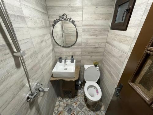 奥雷沙克Vista Verde的一间带水槽、卫生间和镜子的浴室