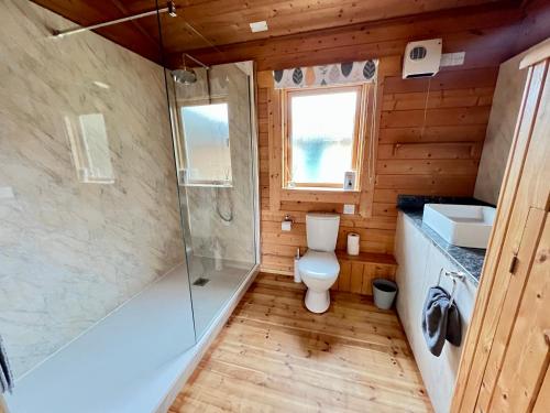 南塞尔尼Reeds Lodge, Lake Pochard的浴室配有卫生间、淋浴和盥洗盆。