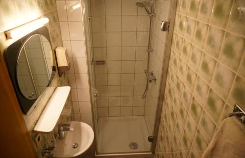 Micheldorf in OberösterreichHof zur Steinwänd的带淋浴、盥洗盆和卫生间的浴室