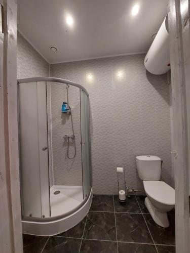 坎达瓦Pils ielas apartamenti的带淋浴和卫生间的浴室