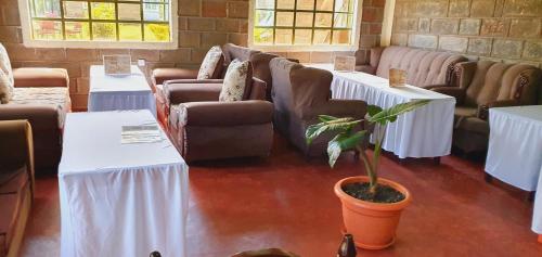 纳库鲁Homebase gardens的一间设有桌子和沙发的房间,以及盆栽植物