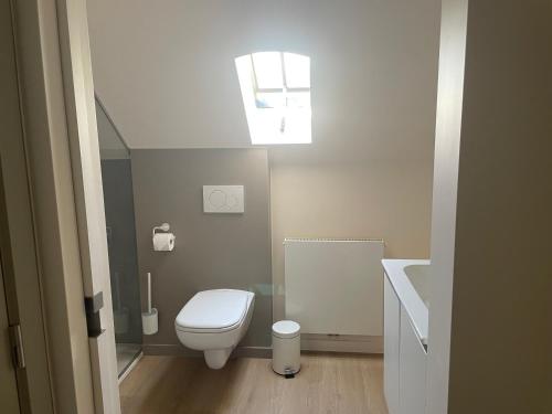 赫纲兰德Velogement 't Moltje的浴室配有卫生间、水槽和天窗。