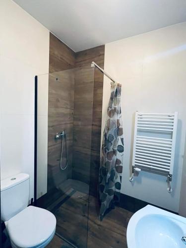 亚赫兰卡Pensjonat Jachranka的带淋浴、卫生间和盥洗盆的浴室