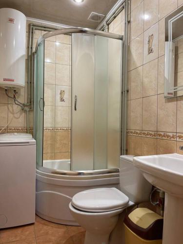 舍绍里Садиба Анастасія的带淋浴、卫生间和盥洗盆的浴室